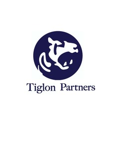 タイグロンパートナーズ 株式会社