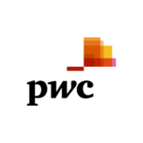 PwCコンサルティング合同会社のロゴ