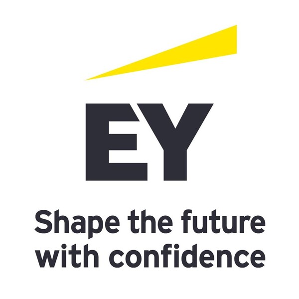 EYストラテジー・アンド・コンサルティング株式会社のロゴ