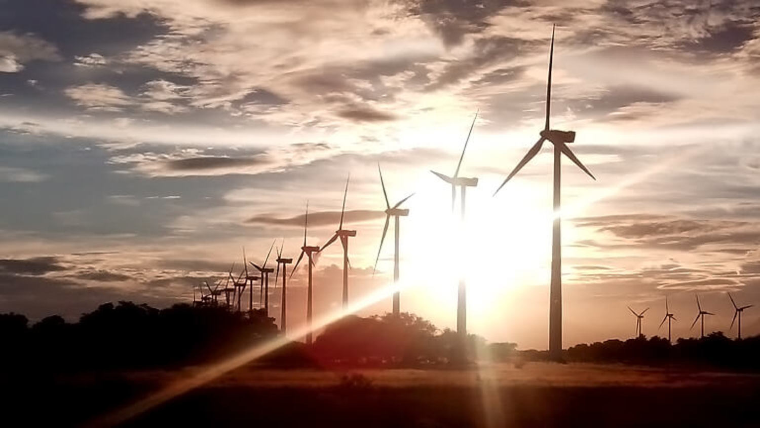 三井物産株式会社のメイン画像