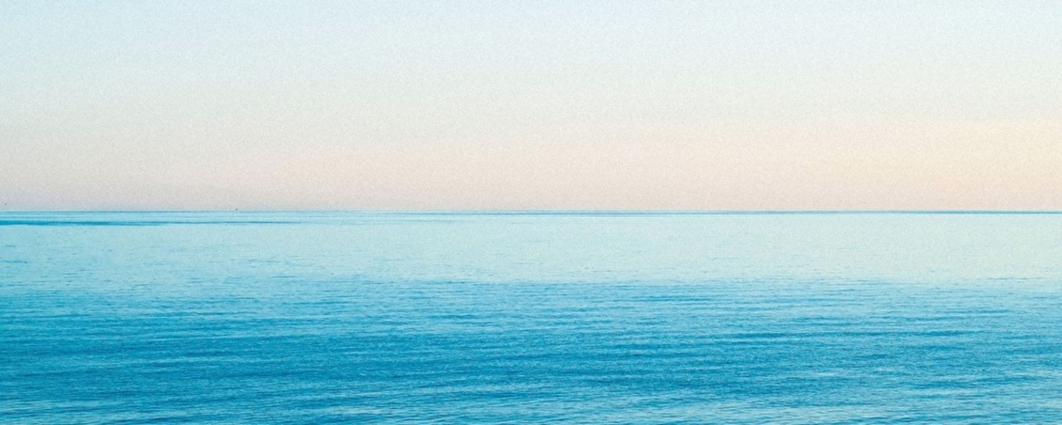 ニューホライズンキャピタル株式会社のメイン画像