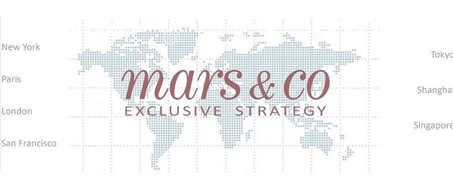 マース・アンド・コー・コンサルティング・ジャパン有限会社のメイン画像