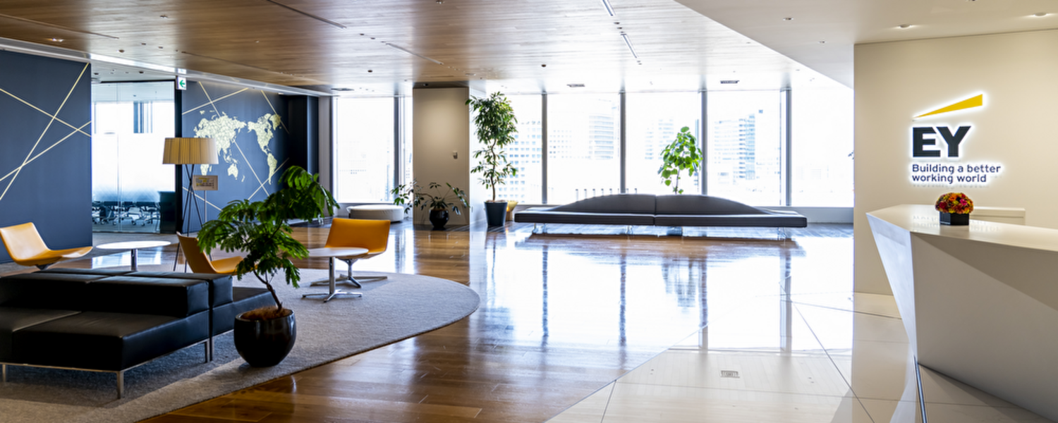 EYストラテジー・アンド・コンサルティング株式会社のメイン画像