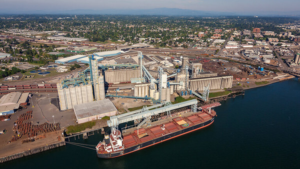 若手を信頼し、どんどん仕事を任せ、仕事を通じて成長させる企業文化