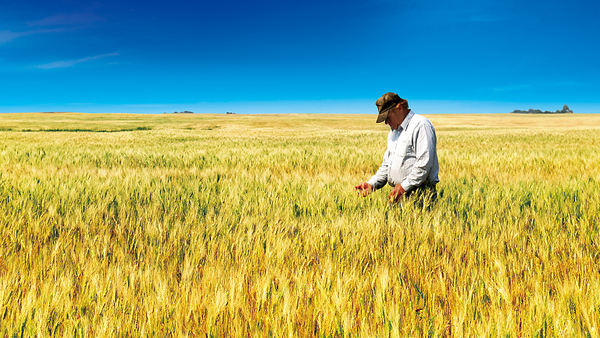 「多様なプロ人材」