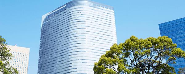 Integrated Growth Partner