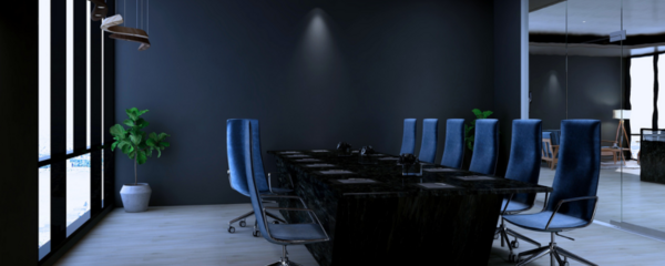 ヴェリタスコンサルティングの特徴