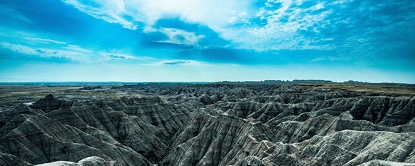 裁量と責任を担い、経営の中枢へ